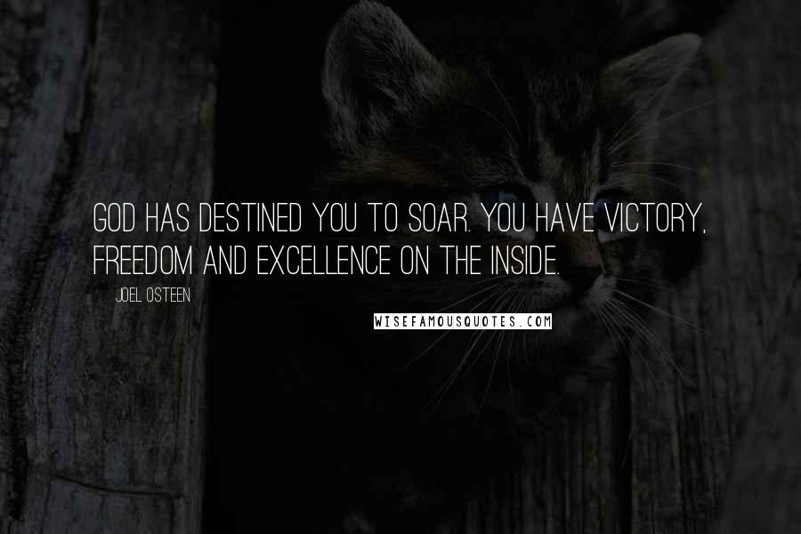 Joel Osteen Quotes: God has destined you to soar. You have victory, freedom and excellence on the inside.