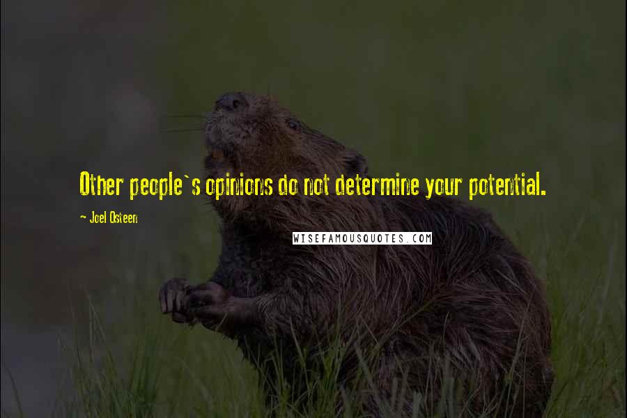 Joel Osteen Quotes: Other people's opinions do not determine your potential.