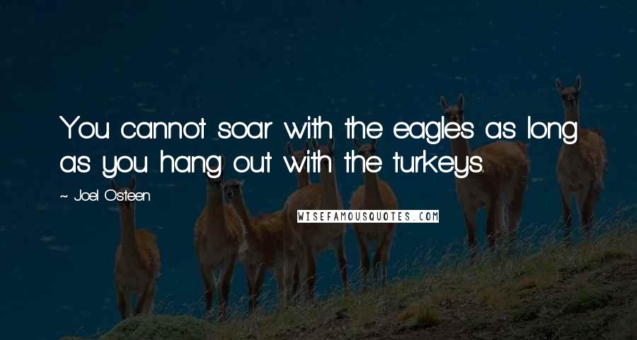 Joel Osteen Quotes: You cannot soar with the eagles as long as you hang out with the turkeys.