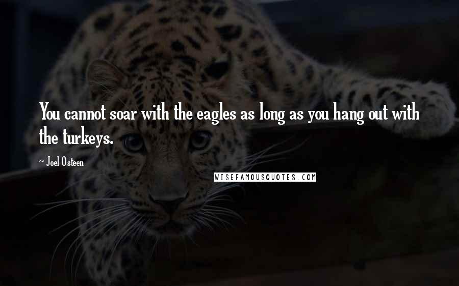 Joel Osteen Quotes: You cannot soar with the eagles as long as you hang out with the turkeys.
