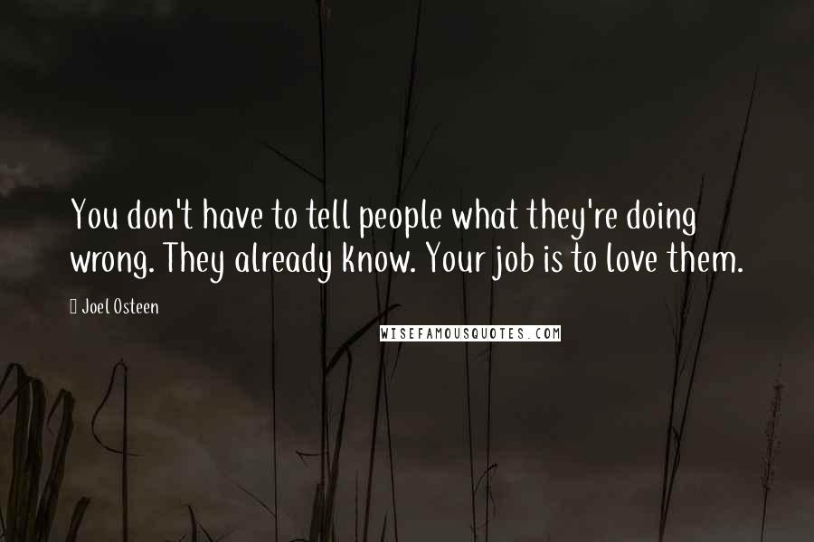 Joel Osteen Quotes: You don't have to tell people what they're doing wrong. They already know. Your job is to love them.