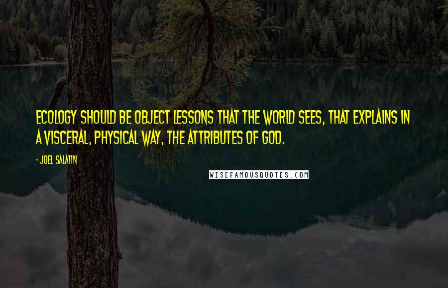 Joel Salatin Quotes: Ecology should be object lessons that the world sees, that explains in a visceral, physical way, the attributes of God.