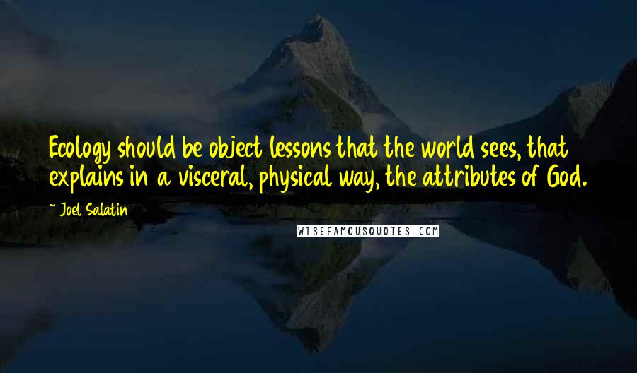 Joel Salatin Quotes: Ecology should be object lessons that the world sees, that explains in a visceral, physical way, the attributes of God.