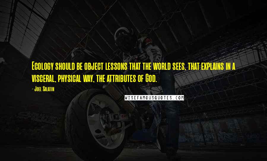 Joel Salatin Quotes: Ecology should be object lessons that the world sees, that explains in a visceral, physical way, the attributes of God.