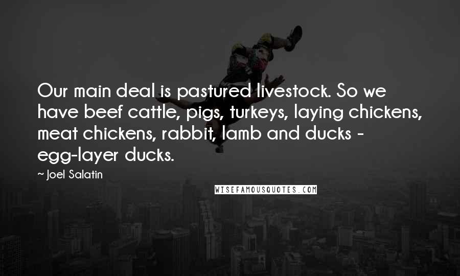 Joel Salatin Quotes: Our main deal is pastured livestock. So we have beef cattle, pigs, turkeys, laying chickens, meat chickens, rabbit, lamb and ducks - egg-layer ducks.