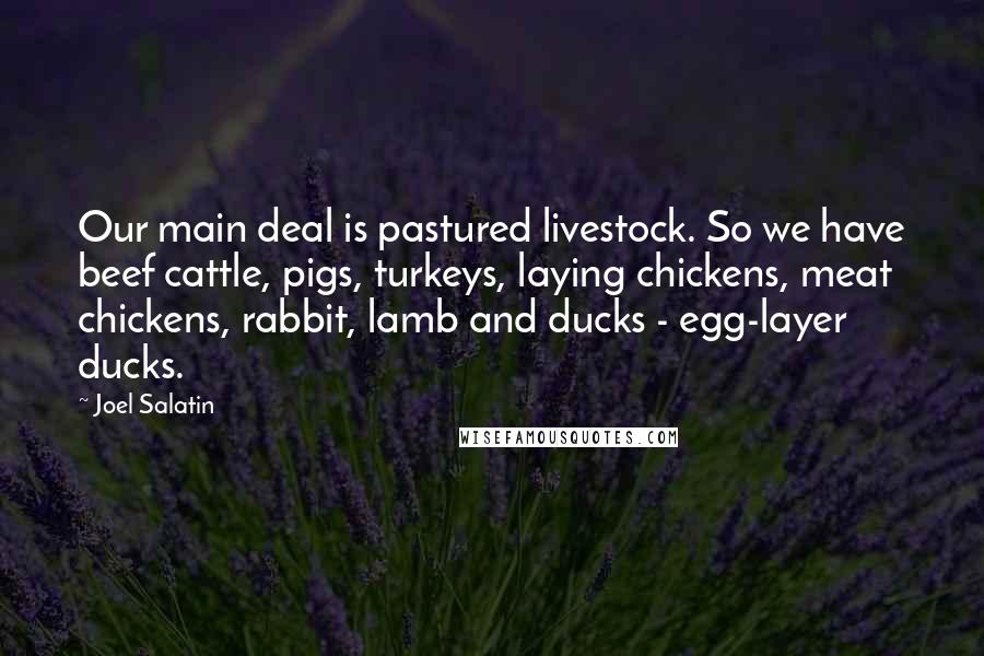 Joel Salatin Quotes: Our main deal is pastured livestock. So we have beef cattle, pigs, turkeys, laying chickens, meat chickens, rabbit, lamb and ducks - egg-layer ducks.