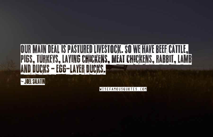 Joel Salatin Quotes: Our main deal is pastured livestock. So we have beef cattle, pigs, turkeys, laying chickens, meat chickens, rabbit, lamb and ducks - egg-layer ducks.