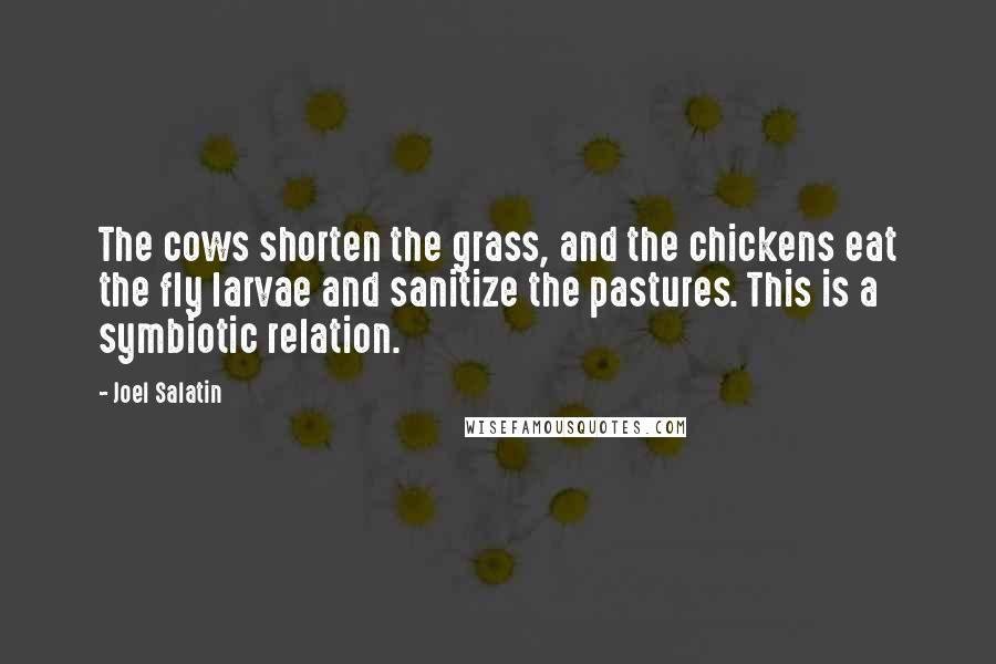 Joel Salatin Quotes: The cows shorten the grass, and the chickens eat the fly larvae and sanitize the pastures. This is a symbiotic relation.