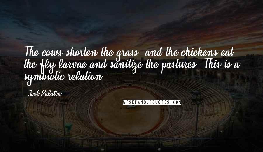 Joel Salatin Quotes: The cows shorten the grass, and the chickens eat the fly larvae and sanitize the pastures. This is a symbiotic relation.