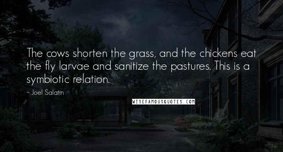 Joel Salatin Quotes: The cows shorten the grass, and the chickens eat the fly larvae and sanitize the pastures. This is a symbiotic relation.