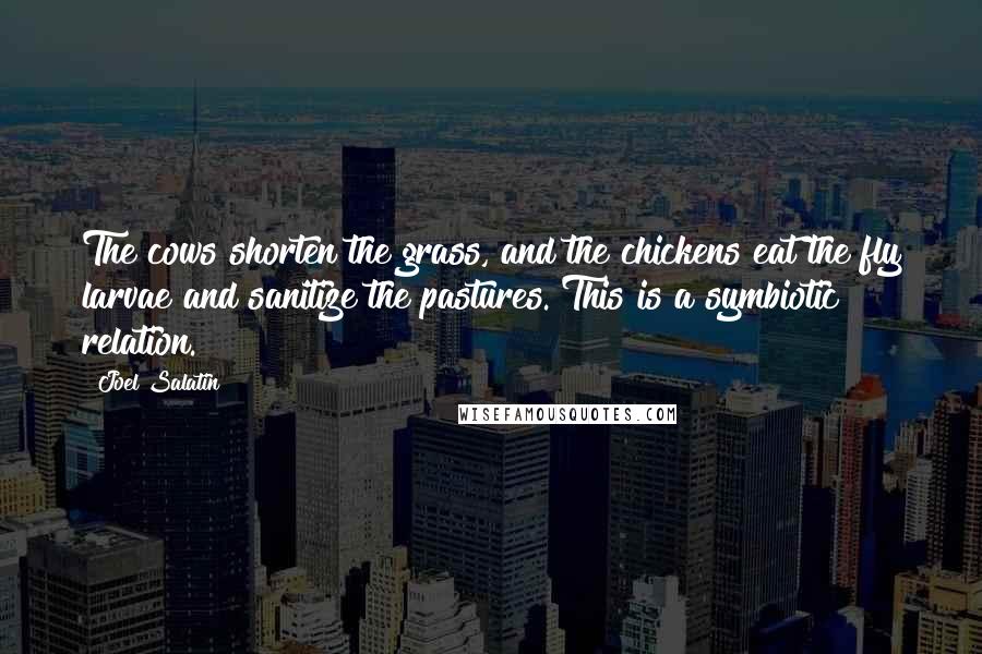 Joel Salatin Quotes: The cows shorten the grass, and the chickens eat the fly larvae and sanitize the pastures. This is a symbiotic relation.