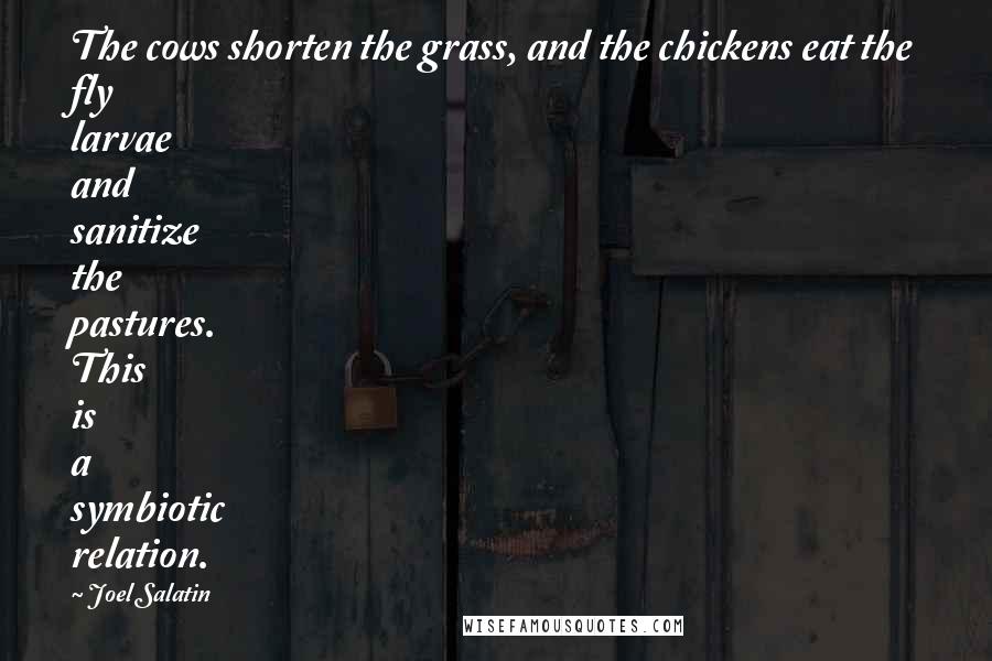 Joel Salatin Quotes: The cows shorten the grass, and the chickens eat the fly larvae and sanitize the pastures. This is a symbiotic relation.