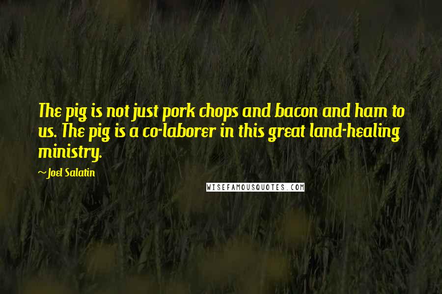 Joel Salatin Quotes: The pig is not just pork chops and bacon and ham to us. The pig is a co-laborer in this great land-healing ministry.