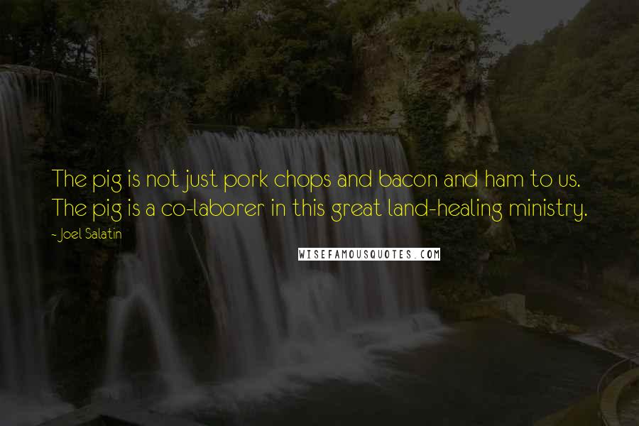 Joel Salatin Quotes: The pig is not just pork chops and bacon and ham to us. The pig is a co-laborer in this great land-healing ministry.