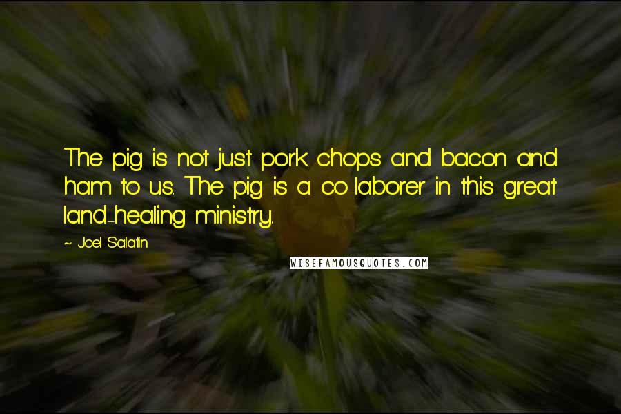 Joel Salatin Quotes: The pig is not just pork chops and bacon and ham to us. The pig is a co-laborer in this great land-healing ministry.