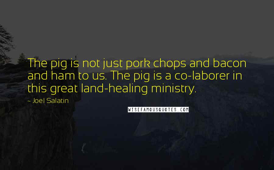 Joel Salatin Quotes: The pig is not just pork chops and bacon and ham to us. The pig is a co-laborer in this great land-healing ministry.