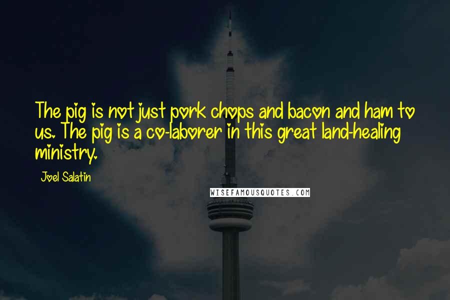 Joel Salatin Quotes: The pig is not just pork chops and bacon and ham to us. The pig is a co-laborer in this great land-healing ministry.