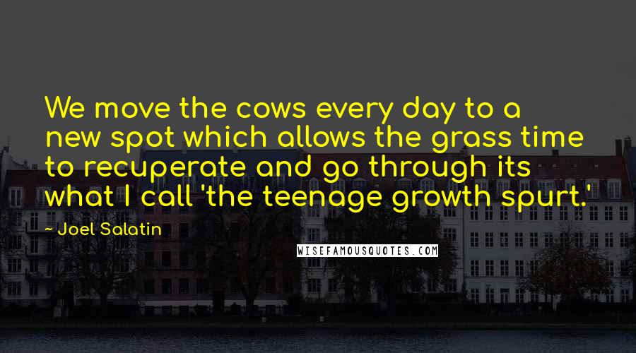 Joel Salatin Quotes: We move the cows every day to a new spot which allows the grass time to recuperate and go through its what I call 'the teenage growth spurt.'