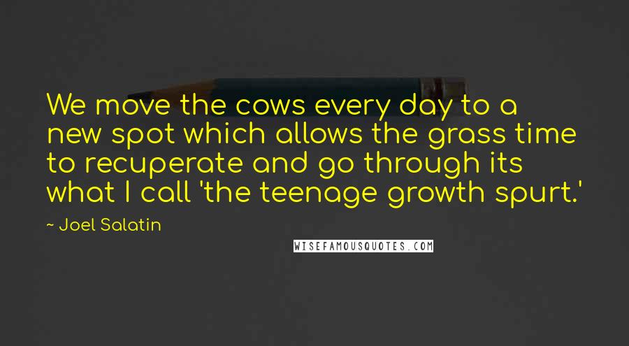 Joel Salatin Quotes: We move the cows every day to a new spot which allows the grass time to recuperate and go through its what I call 'the teenage growth spurt.'