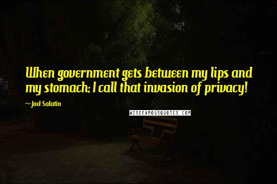 Joel Salatin Quotes: When government gets between my lips and my stomach; I call that invasion of privacy!