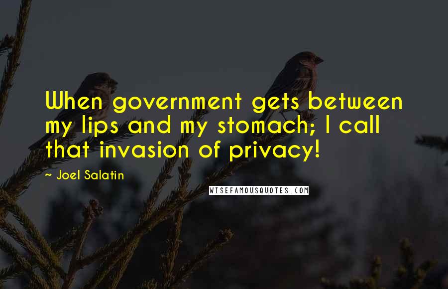 Joel Salatin Quotes: When government gets between my lips and my stomach; I call that invasion of privacy!