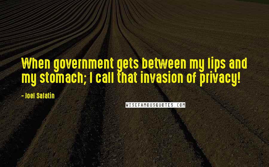 Joel Salatin Quotes: When government gets between my lips and my stomach; I call that invasion of privacy!