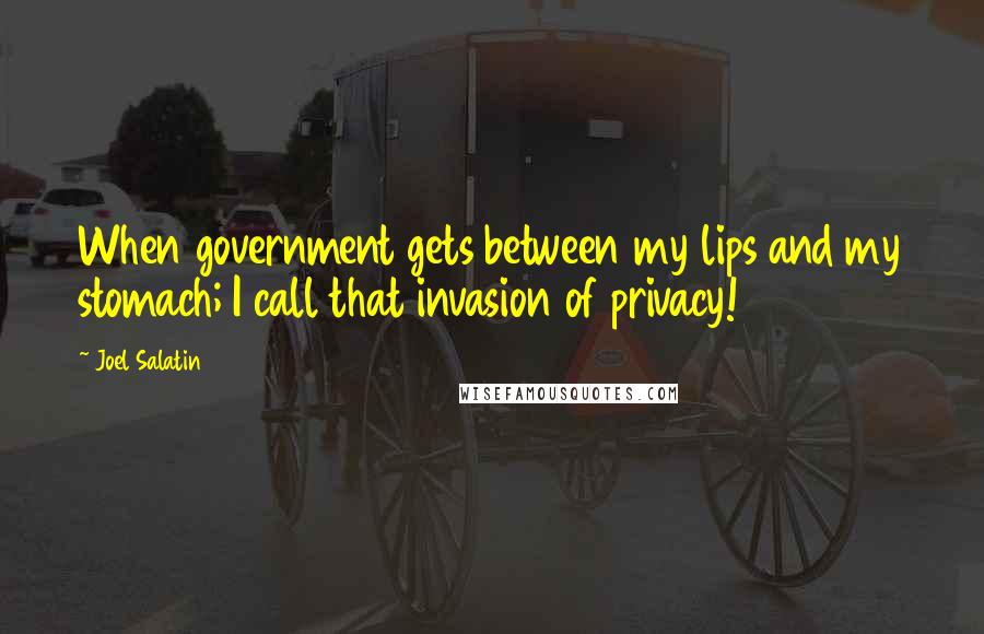 Joel Salatin Quotes: When government gets between my lips and my stomach; I call that invasion of privacy!