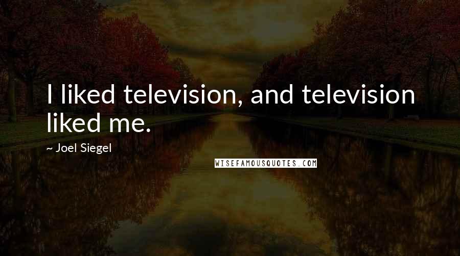 Joel Siegel Quotes: I liked television, and television liked me.
