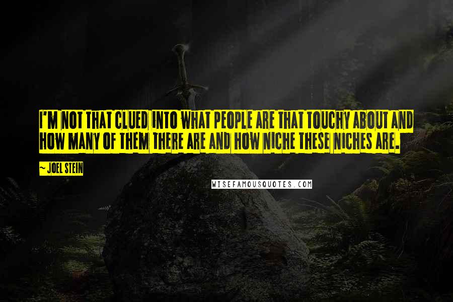 Joel Stein Quotes: I'm not that clued into what people are that touchy about and how many of them there are and how niche these niches are.