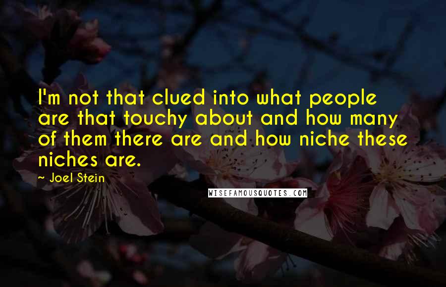 Joel Stein Quotes: I'm not that clued into what people are that touchy about and how many of them there are and how niche these niches are.