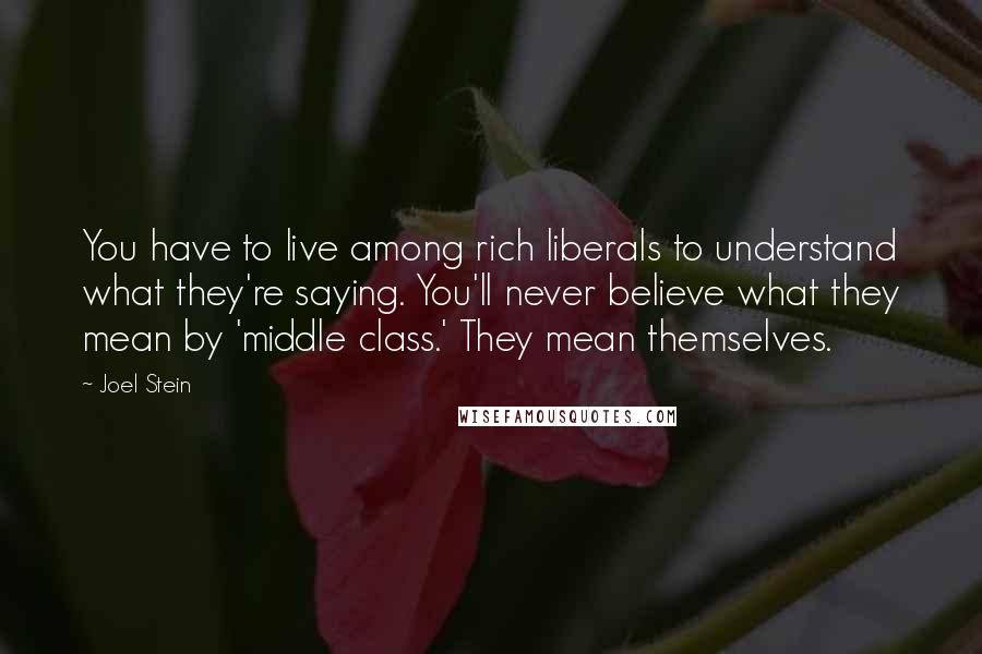 Joel Stein Quotes: You have to live among rich liberals to understand what they're saying. You'll never believe what they mean by 'middle class.' They mean themselves.
