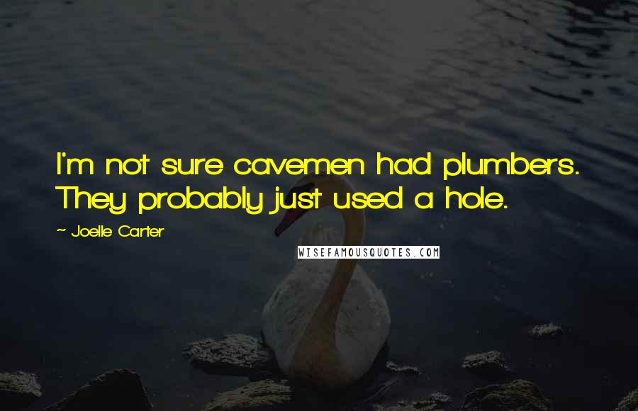 Joelle Carter Quotes: I'm not sure cavemen had plumbers. They probably just used a hole.