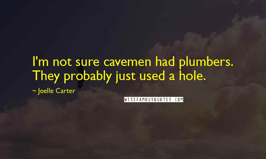 Joelle Carter Quotes: I'm not sure cavemen had plumbers. They probably just used a hole.