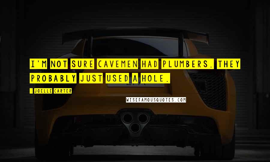 Joelle Carter Quotes: I'm not sure cavemen had plumbers. They probably just used a hole.