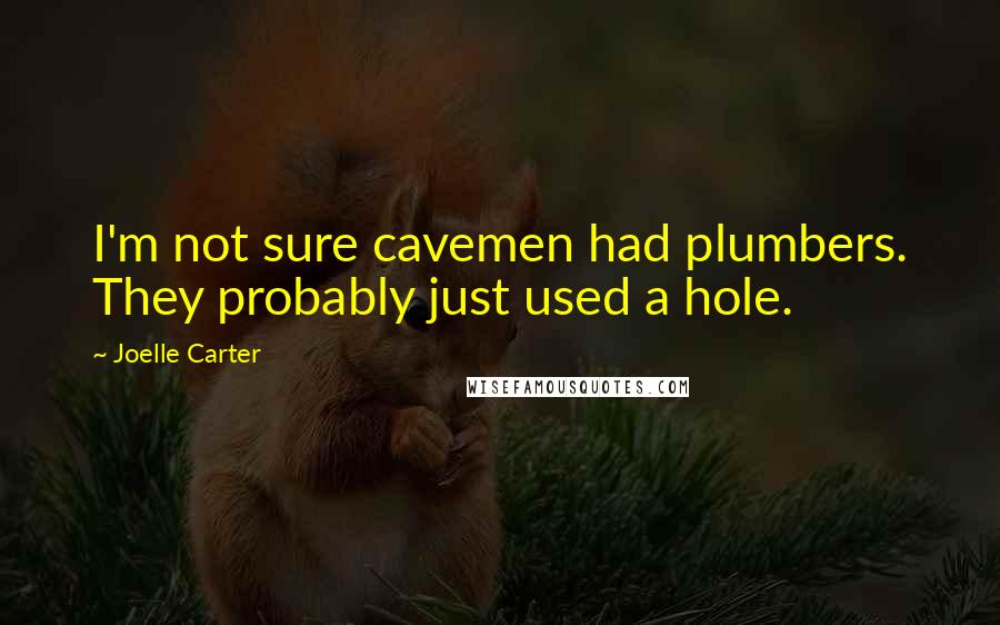 Joelle Carter Quotes: I'm not sure cavemen had plumbers. They probably just used a hole.