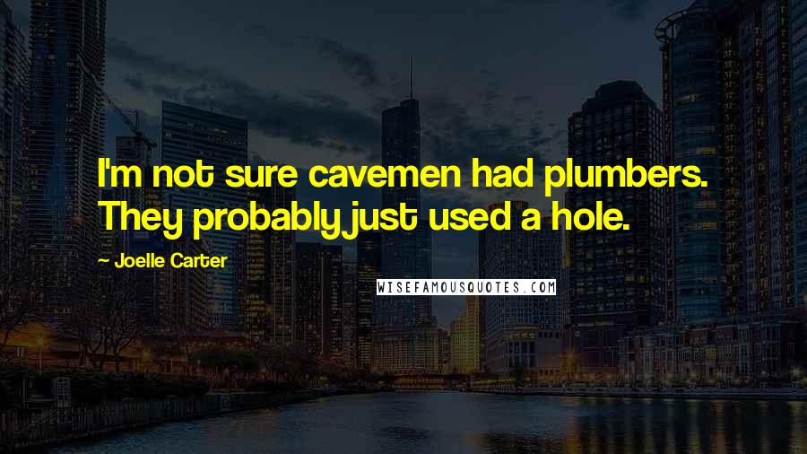 Joelle Carter Quotes: I'm not sure cavemen had plumbers. They probably just used a hole.