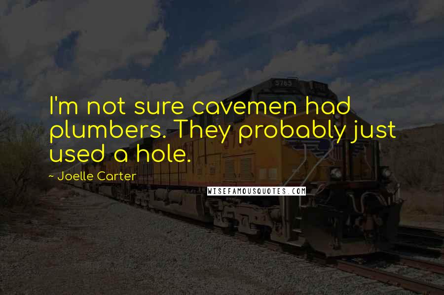 Joelle Carter Quotes: I'm not sure cavemen had plumbers. They probably just used a hole.