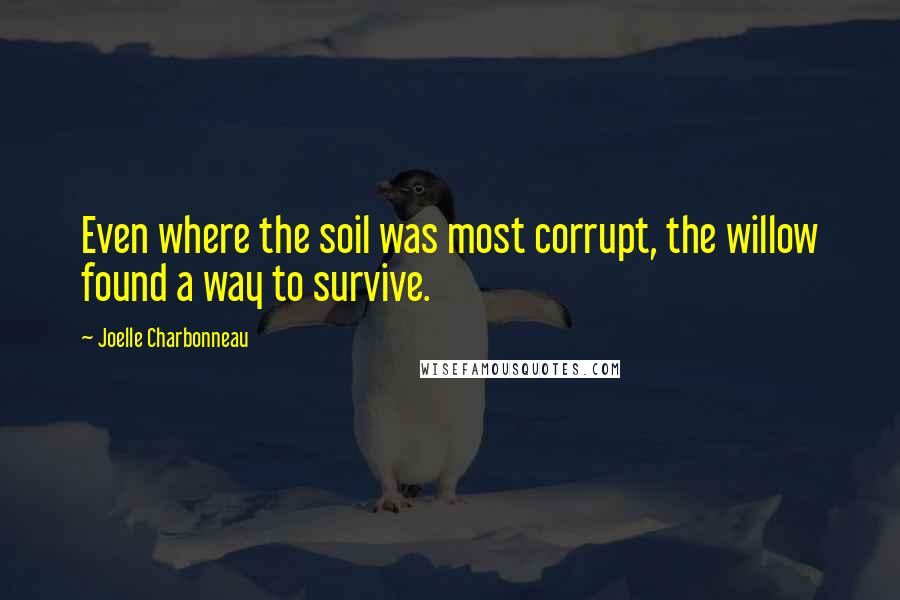 Joelle Charbonneau Quotes: Even where the soil was most corrupt, the willow found a way to survive.