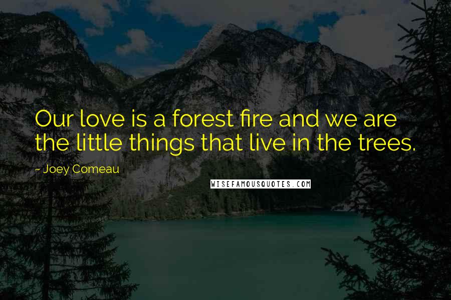 Joey Comeau Quotes: Our love is a forest fire and we are the little things that live in the trees.