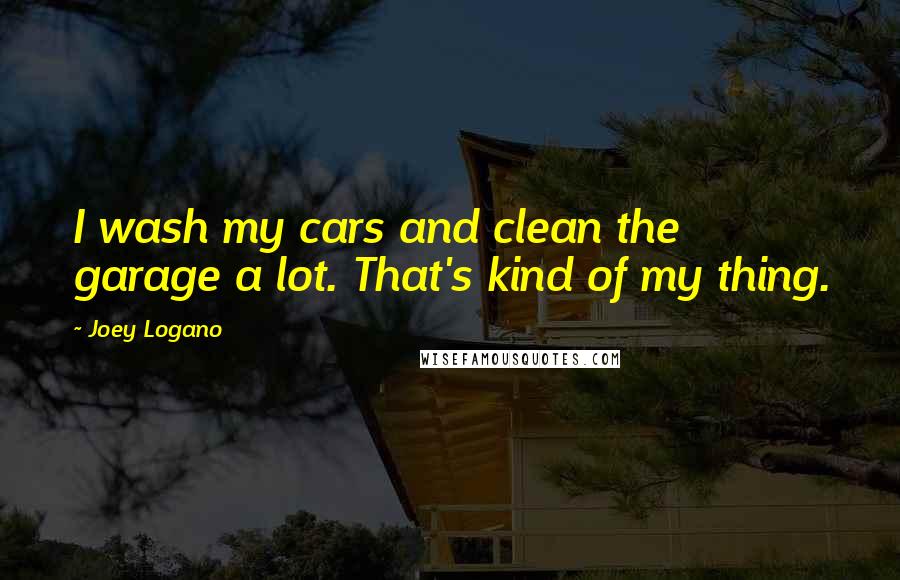 Joey Logano Quotes: I wash my cars and clean the garage a lot. That's kind of my thing.