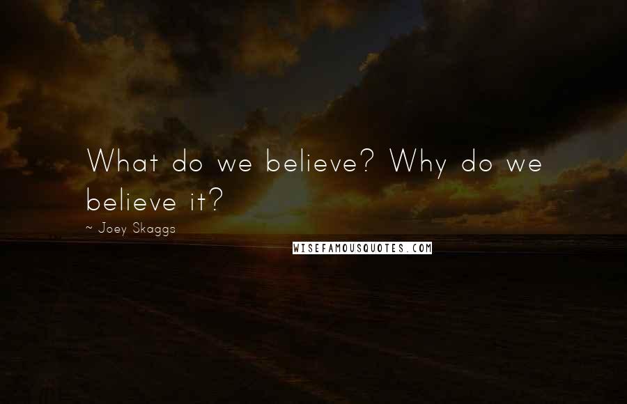 Joey Skaggs Quotes: What do we believe? Why do we believe it?