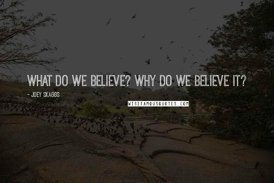 Joey Skaggs Quotes: What do we believe? Why do we believe it?