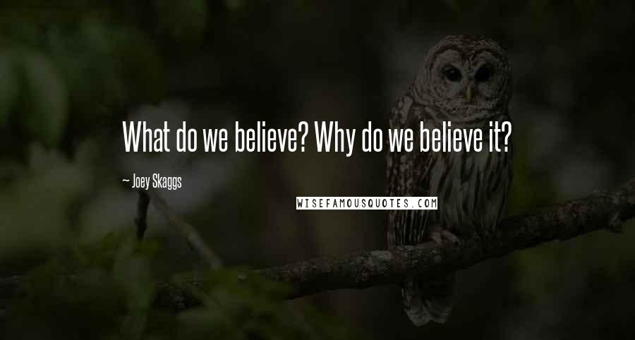 Joey Skaggs Quotes: What do we believe? Why do we believe it?