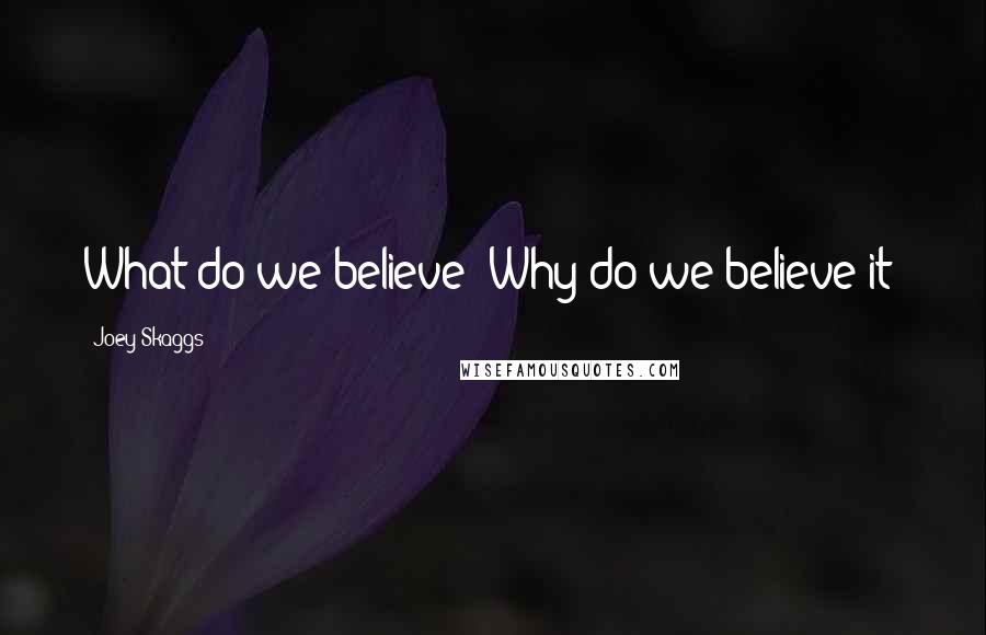 Joey Skaggs Quotes: What do we believe? Why do we believe it?