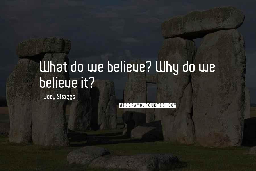 Joey Skaggs Quotes: What do we believe? Why do we believe it?