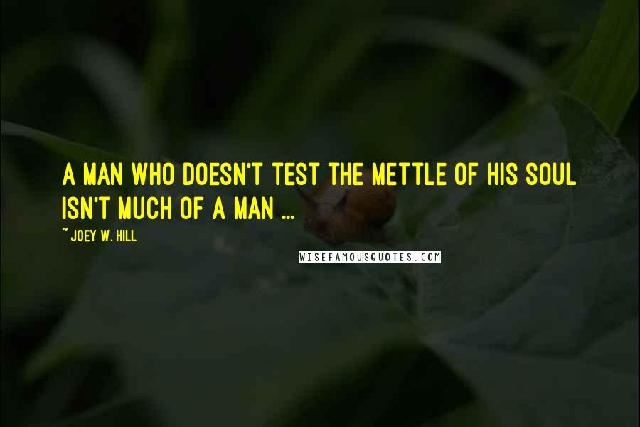 Joey W. Hill Quotes: A man who doesn't test the mettle of his soul isn't much of a man ...