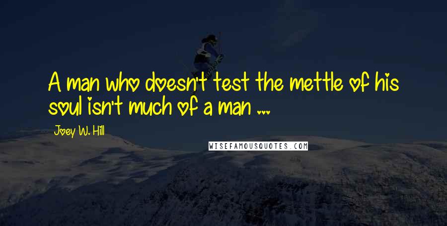 Joey W. Hill Quotes: A man who doesn't test the mettle of his soul isn't much of a man ...