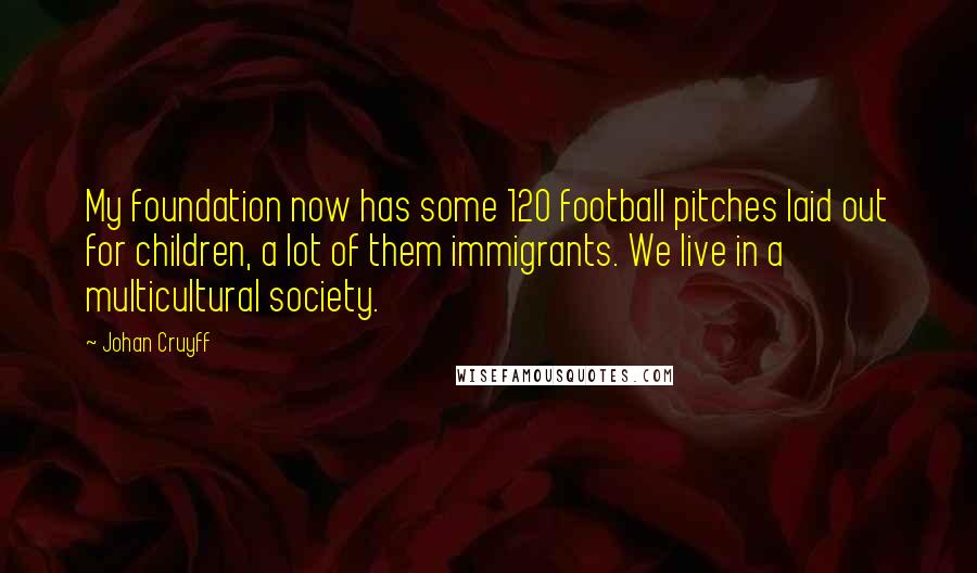 Johan Cruyff Quotes: My foundation now has some 120 football pitches laid out for children, a lot of them immigrants. We live in a multicultural society.