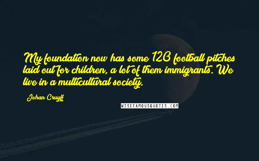 Johan Cruyff Quotes: My foundation now has some 120 football pitches laid out for children, a lot of them immigrants. We live in a multicultural society.