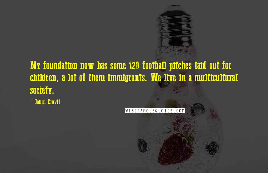 Johan Cruyff Quotes: My foundation now has some 120 football pitches laid out for children, a lot of them immigrants. We live in a multicultural society.